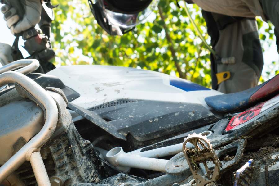 ZIELENIEC 8-10.09.2023