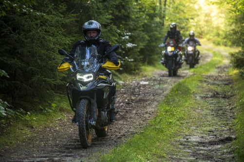 ZIELENIEC9-11.09.2022