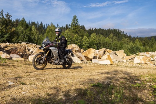 ZIELENIEC9-11.09.2022