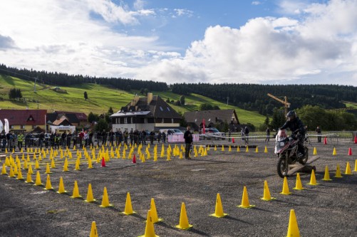 ZIELENIEC9-11.09.2022